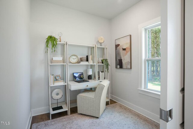 office space featuring hardwood / wood-style flooring