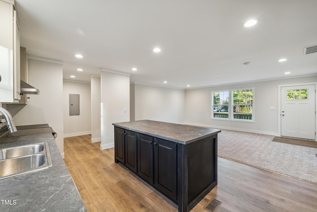 kitchen featuring ornamental molding, light wood-type flooring, sink, and ventilation hood