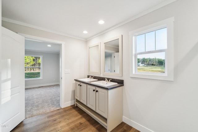 bathroom featuring hardwood / wood-style floors, vanity, and crown molding