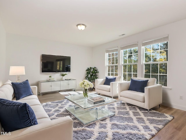 living room featuring hardwood / wood-style flooring