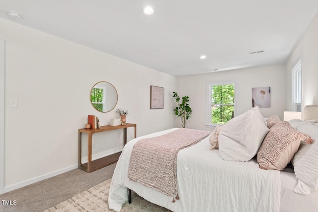 120 Kingston Dr, Chapel Hill, NC 27514 - bedroom with carpet, baseboards, and recessed lighting