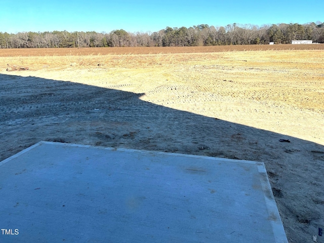 view of yard with a rural view