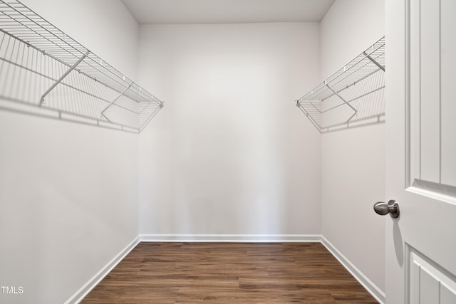 spacious closet with dark hardwood / wood-style floors