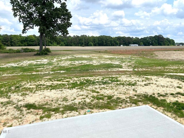 view of yard with a rural view