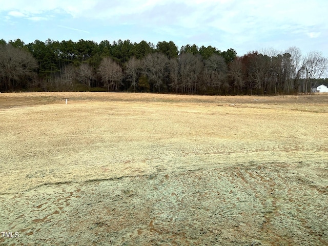 view of local wilderness