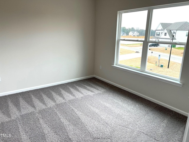 carpeted spare room with a wealth of natural light