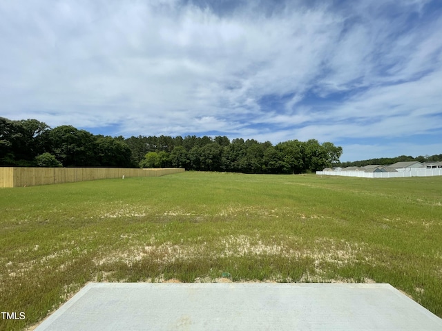 158 Citizens Ct Unit 32, Four Oaks, NC 27524 - view of yard
