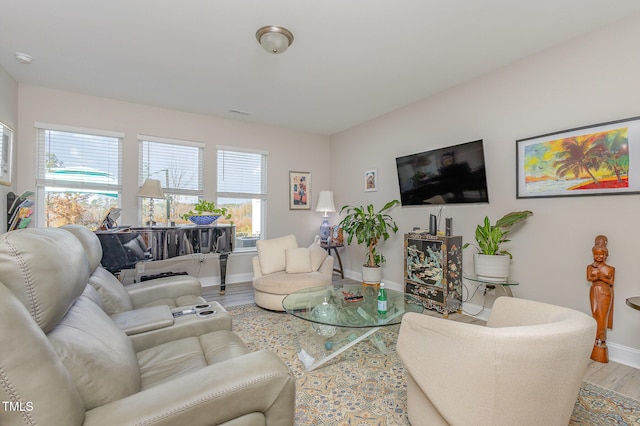 living room featuring hardwood / wood-style flooring