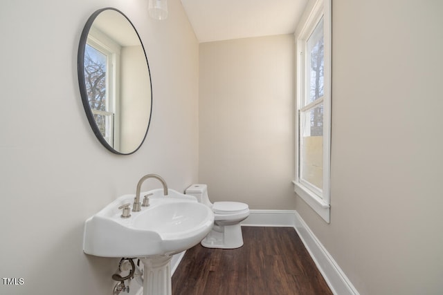 bathroom with toilet and hardwood / wood-style flooring