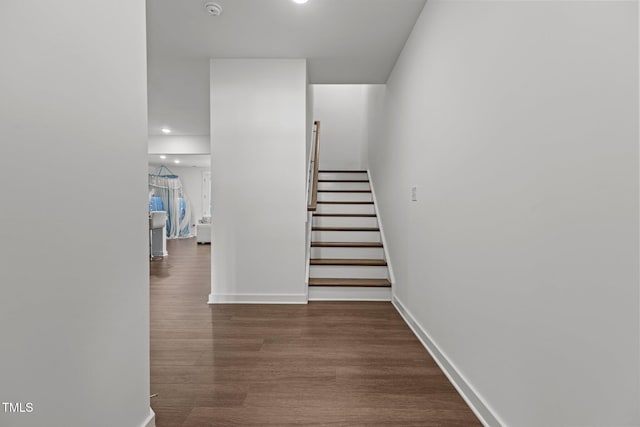 staircase featuring hardwood / wood-style floors