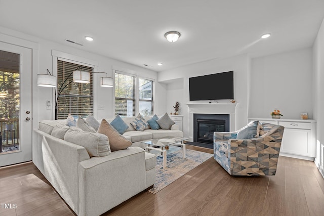 living room with wood-type flooring