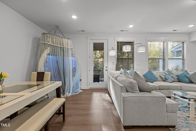 living room featuring dark hardwood / wood-style flooring