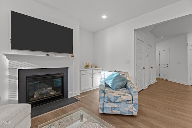 living room featuring light wood-type flooring