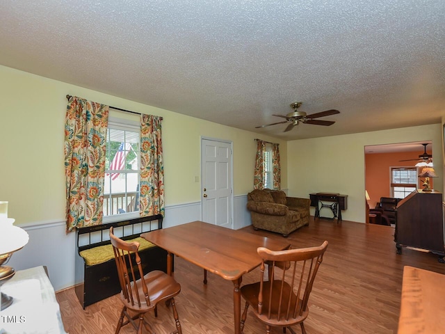 178 Paceville Rd, Selma, NC 27576 - dining room with a ceiling fan, a textured ceiling, a wainscoted wall, healthy amount of natural light, and wood finished floors