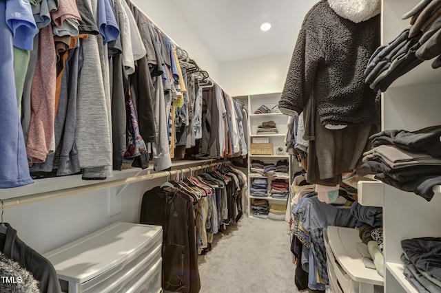 spacious closet with light carpet