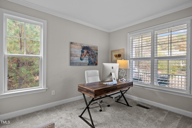 181 Colonial Ridge Dr, Pittsboro, NC 27312 - office area with crown molding, carpet flooring, and baseboards