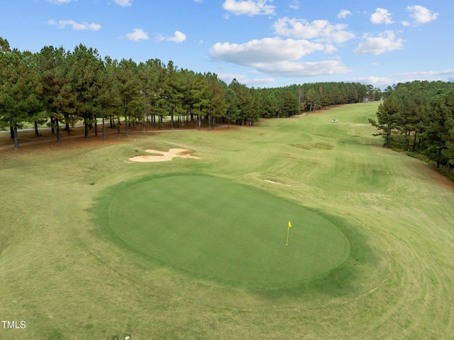 181 Colonial Ridge Dr, Pittsboro, NC 27312 - view of property's community with view of golf course, view of scattered trees, and a putting area
