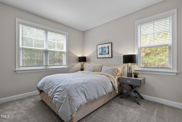 bedroom featuring carpet