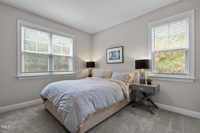 181 Colonial Ridge Dr, Pittsboro, NC 27312 - carpeted bedroom featuring baseboards