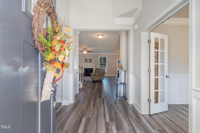 corridor featuring dark hardwood / wood-style flooring and crown molding