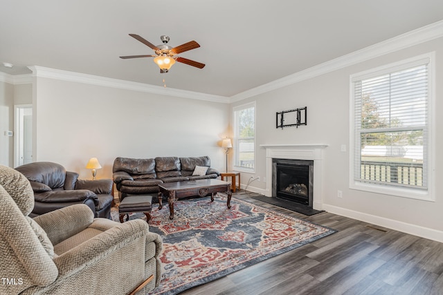 living room featuring dark hardwood / wood-style flooring, a wealth of natural light, and crown molding