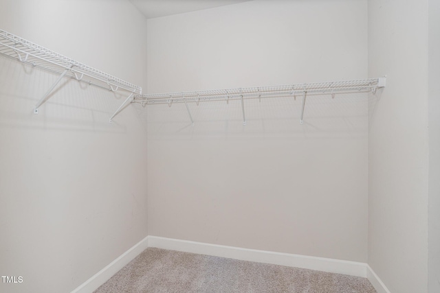 1024 Jarrett Bay Rd, Willow Springs, NC 27592 - photo 20