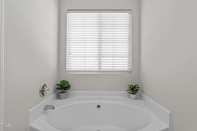 bathroom with plenty of natural light and a washtub