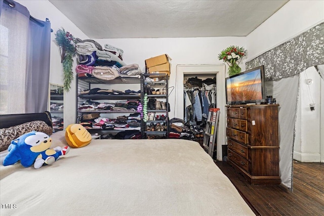 spacious closet with dark wood-type flooring