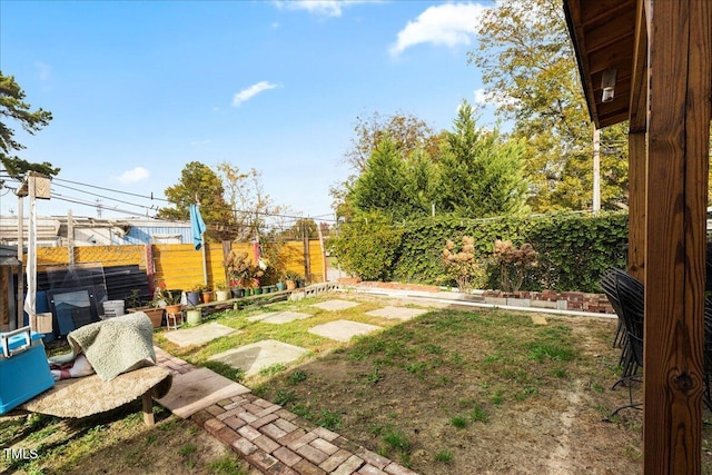 view of yard with a patio