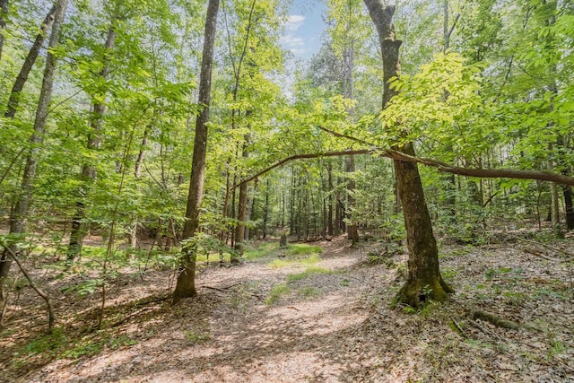 013 Bartley Holleman Rd Lot 13, New Hill, NC 27562