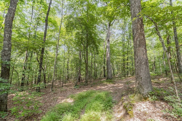 013 Bartley Holleman Rd Lot 13, New Hill, NC 27562