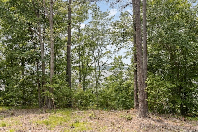 013 Bartley Holleman Rd Lot 13, New Hill, NC 27562