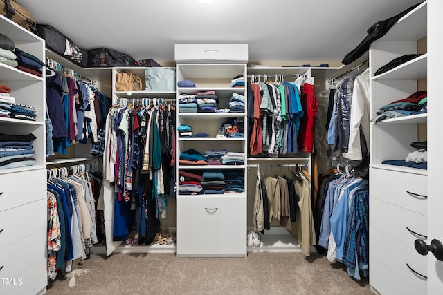 spacious closet featuring carpet flooring