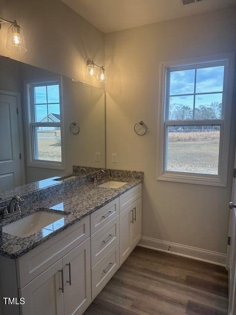 bathroom featuring vanity, a healthy amount of sunlight, and wood-type flooring