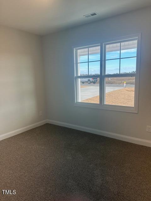 carpeted spare room with plenty of natural light