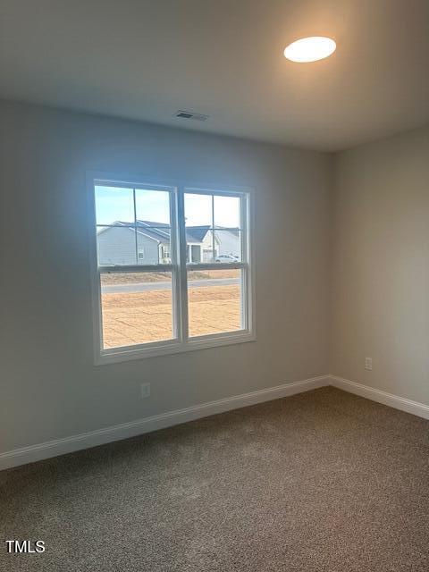 view of carpeted spare room