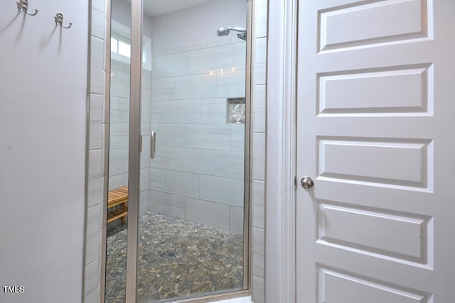 bathroom featuring a shower with shower door