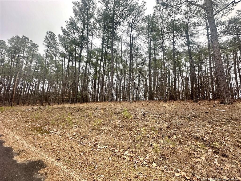 155 Boulder Dr, West End, NC 27376