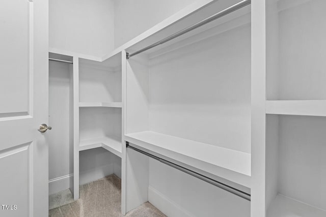 walk in closet featuring light carpet