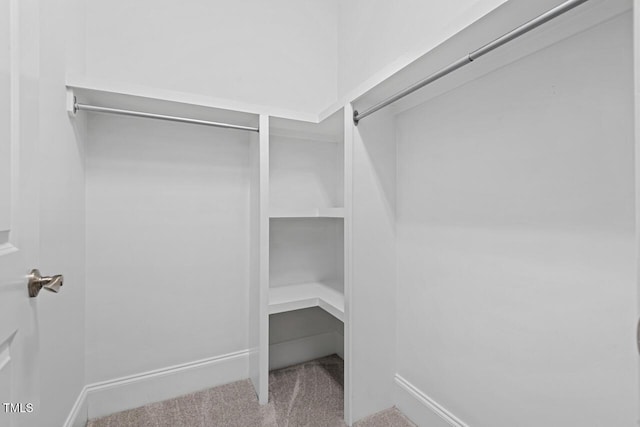 spacious closet featuring carpet flooring