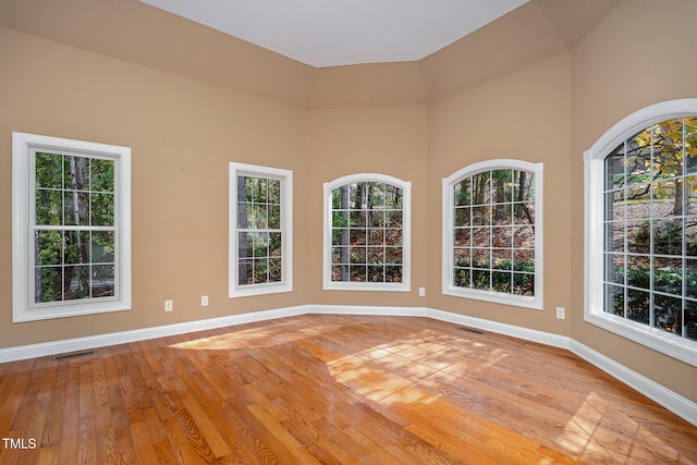 empty room with light wood-type flooring and a healthy amount of sunlight