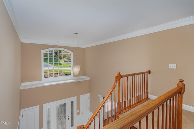 stairs with a chandelier, carpet floors, and crown molding