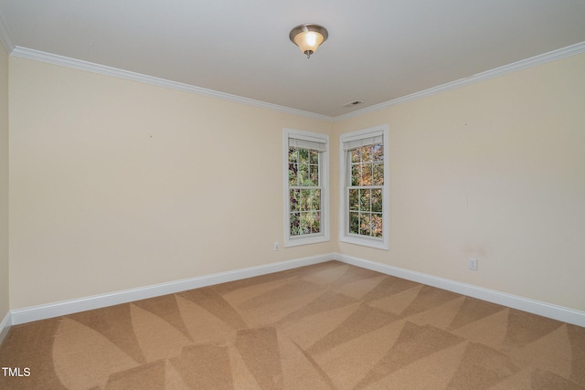 spare room with ornamental molding and carpet