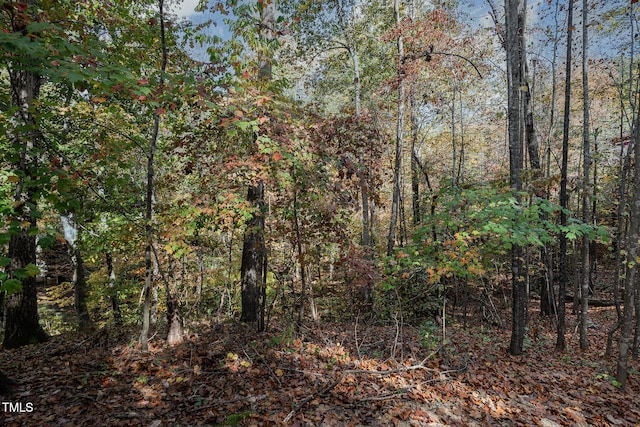 view of local wilderness