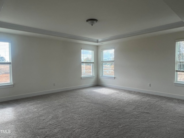 unfurnished room featuring carpet floors, a healthy amount of sunlight, and a raised ceiling