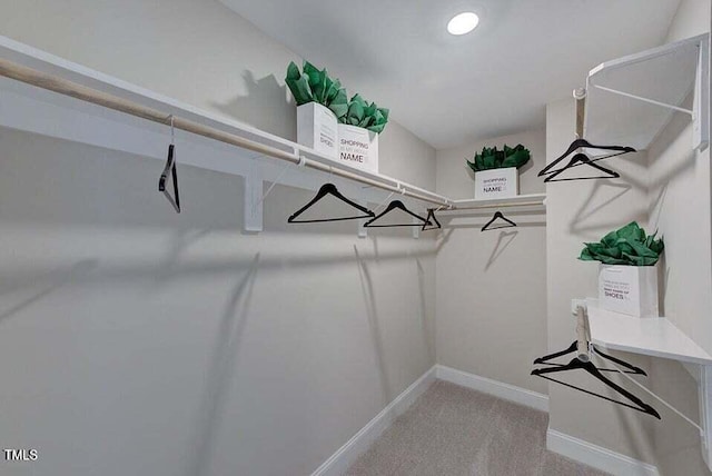 spacious closet featuring light carpet