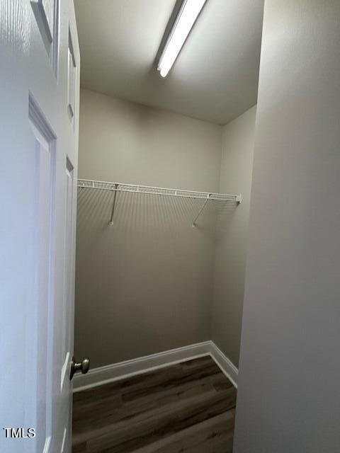 spacious closet featuring dark wood-type flooring