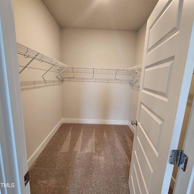 walk in closet featuring carpet