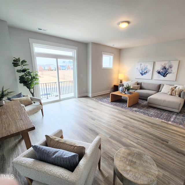 living room featuring hardwood / wood-style floors