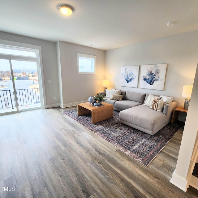 living room with wood-type flooring